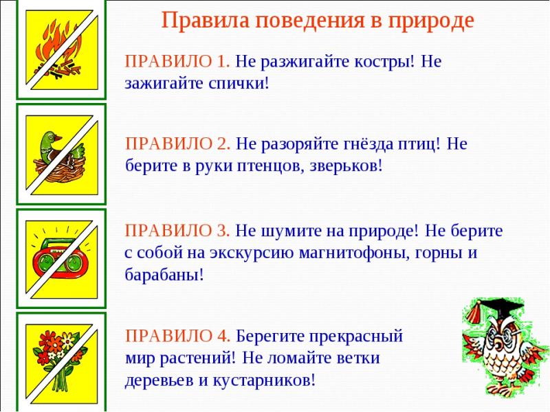 Правила поведения людей в окружающей природной среде. Правила поведения на природе. Правила поведения вмприроде. Павилапведенияв природе. Правлаповедеявприроде.